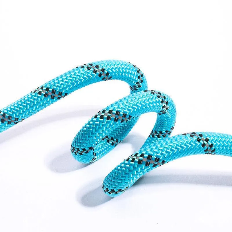 1/2" Heavy Duty Reflective Pet Training Loop Leash