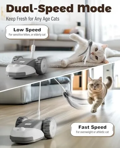 3-in-1 Interactive Cat Toy - 2-Speed Automatic Moving Mouse Cat Toys