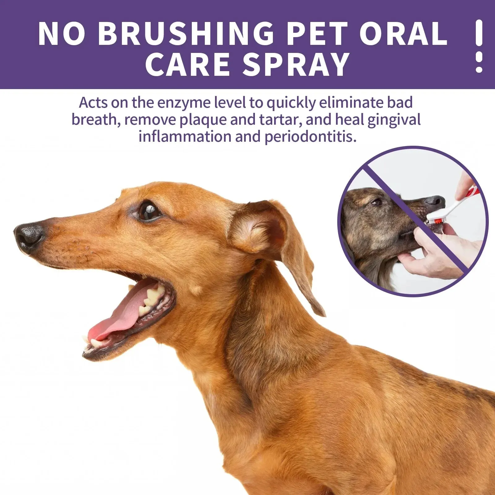 50 ML Pet Oral Cleanse Spray For Dogs And Cats Teeth - Cleaner & Deodorant