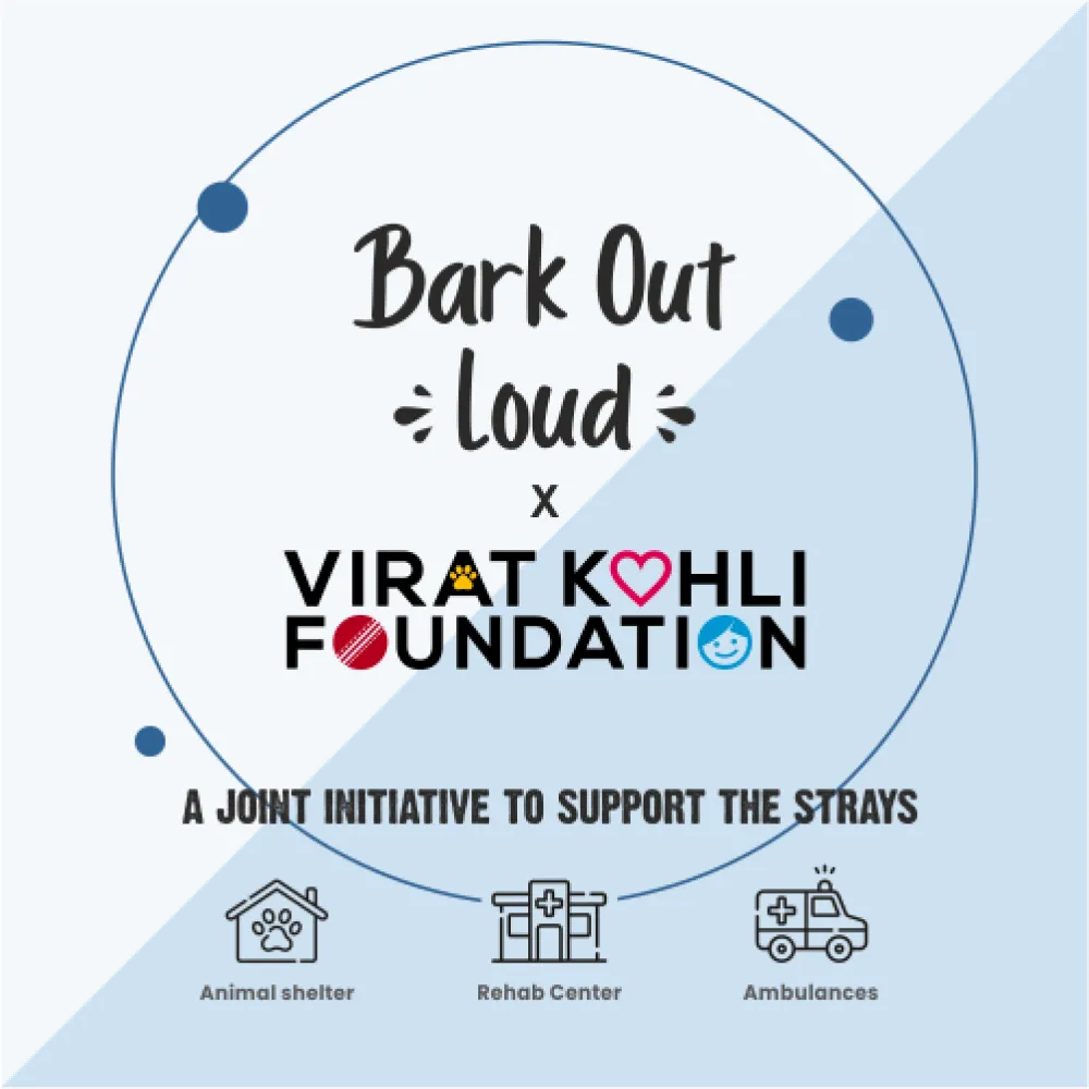 Bark Out Loud by Vivaldis Hairball Control Pillow Cat Treats
