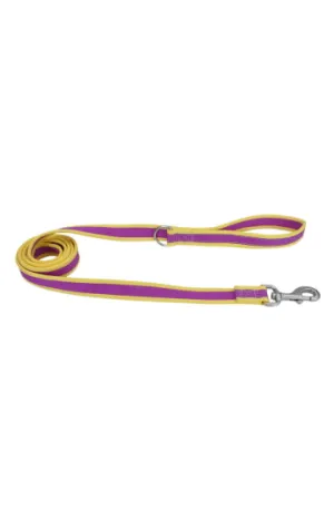 Coastal Yellow and Purple Reflective Leash