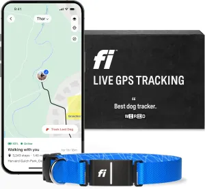 Fi Series 3 Smart Dog Collar - GPS Dog Tracker and Activity & Health Monitor, Waterproof, LED Light, Escape Alerts, Nationwide Coverage [Free 1 Year Membership] (Blue, Large)