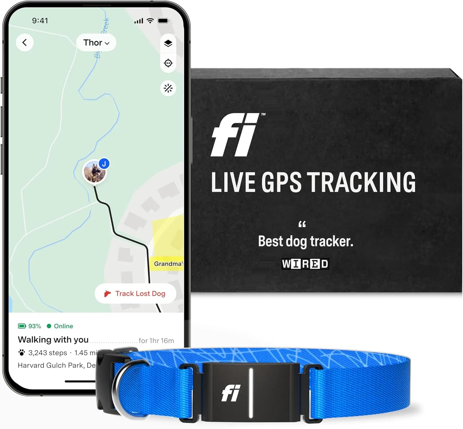 Fi Series 3 Smart Dog Collar - GPS Dog Tracker and Activity & Health Monitor, Waterproof, LED Light, Escape Alerts, Nationwide Coverage [Free 1 Year Membership] (Blue, Large)