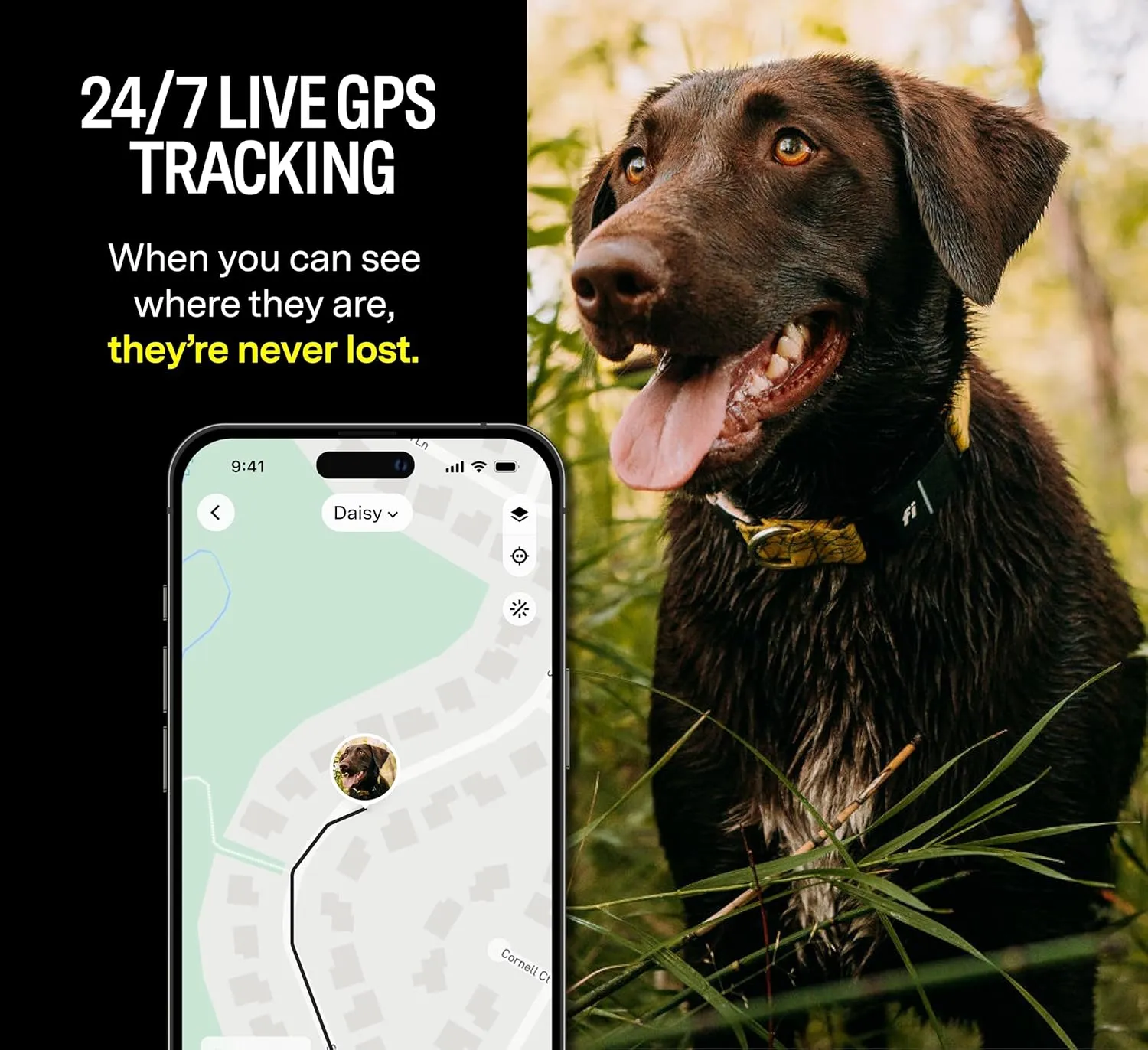 Fi Series 3 Smart Dog Collar - GPS Dog Tracker and Activity & Health Monitor, Waterproof, LED Light, Escape Alerts, Nationwide Coverage [Free 1 Year Membership] (Yellow, Medium)