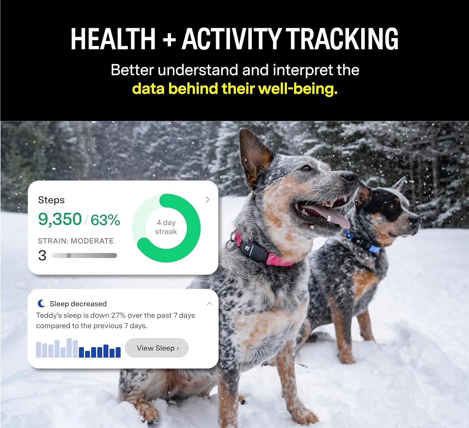 Fi Series 3 Smart Dog Collar - GPS Dog Tracker and Activity & Health Monitor, Waterproof, LED Light, Escape Alerts, Nationwide Coverage [Free 1 Year Membership] (Yellow, Medium)
