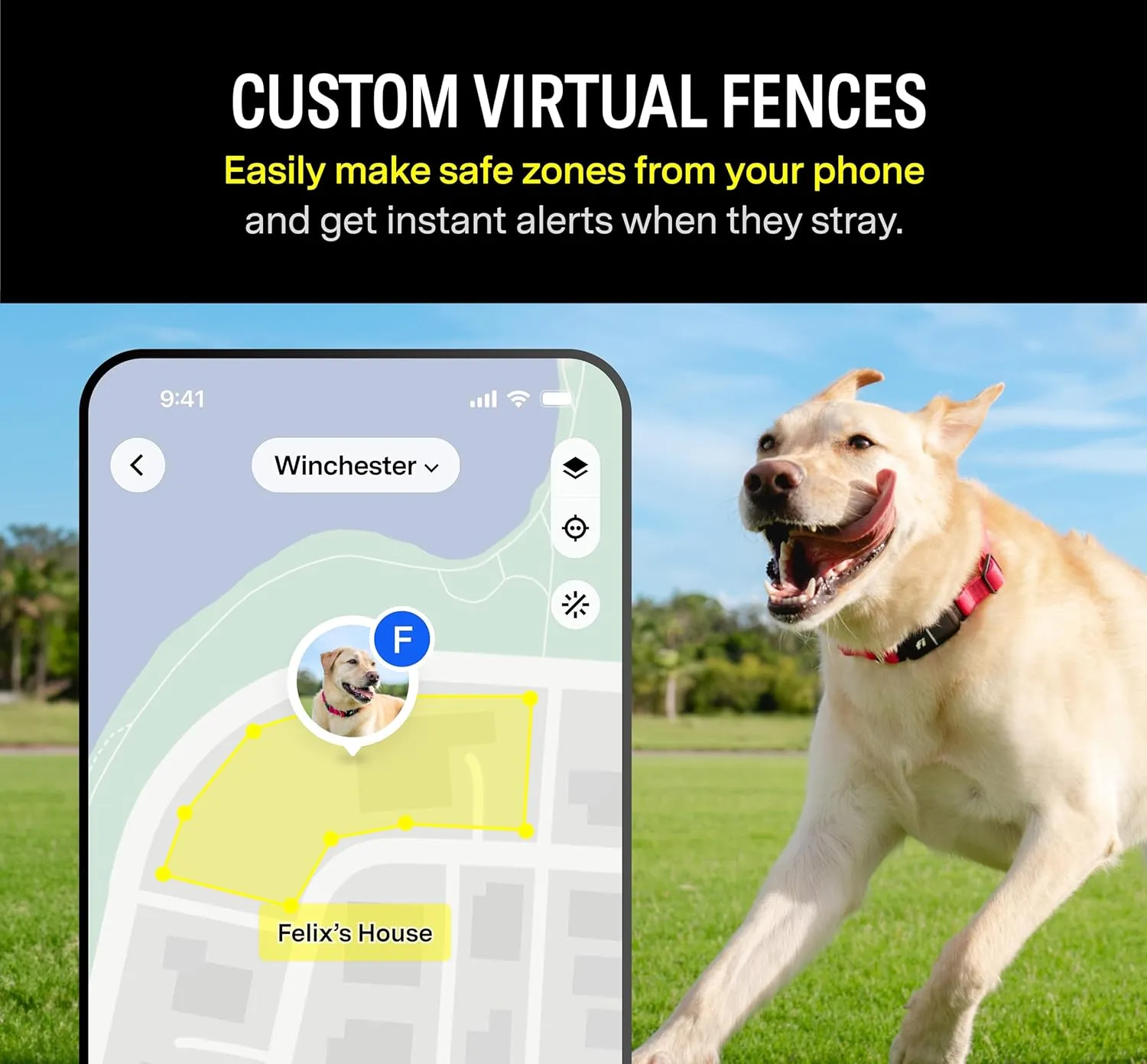 Fi Series 3 Smart Dog Collar - GPS Dog Tracker and Activity & Health Monitor, Waterproof, LED Light, Escape Alerts, Nationwide Coverage [Free 1 Year Membership] (Yellow, Medium)