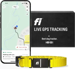 Fi Series 3 Smart Dog Collar - GPS Dog Tracker and Activity & Health Monitor, Waterproof, LED Light, Escape Alerts, Nationwide Coverage [Free 1 Year Membership] (Yellow, Medium)
