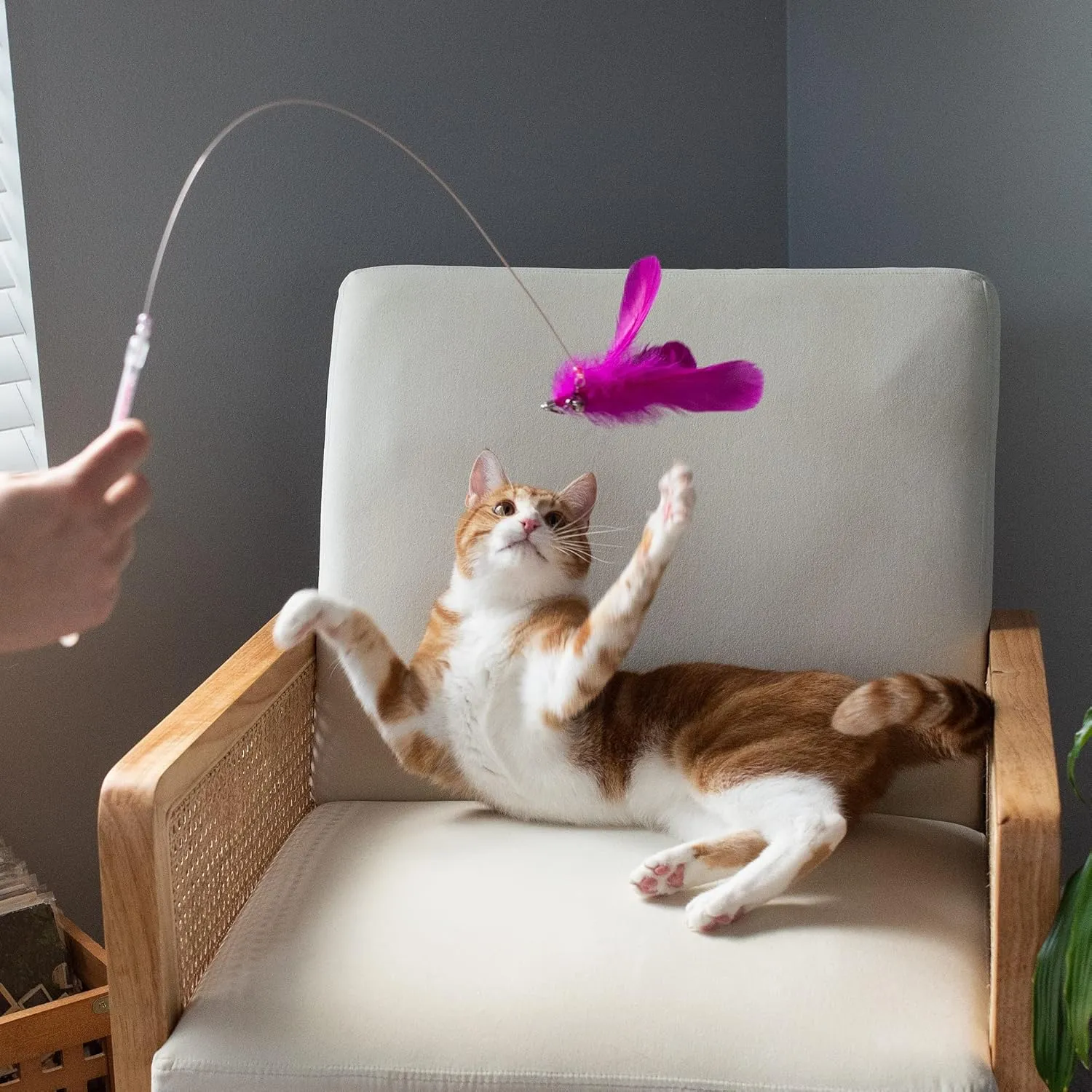 Furhaven 2-Pack Teaser Cat Wand Toy Set for Indoor Cats, Interactive Play & Exercise - Dizzy Kitty Feather Wand - Pink (Hot Pink/Light Pink), Set of 2