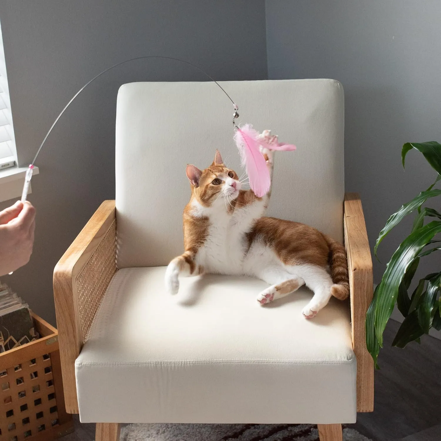 Furhaven 2-Pack Teaser Cat Wand Toy Set for Indoor Cats, Interactive Play & Exercise - Dizzy Kitty Feather Wand - Pink (Hot Pink/Light Pink), Set of 2