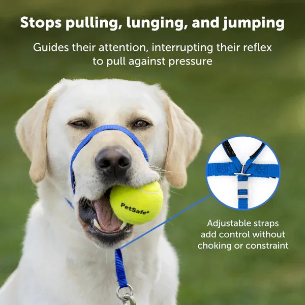 Gentle Leader Headcollar