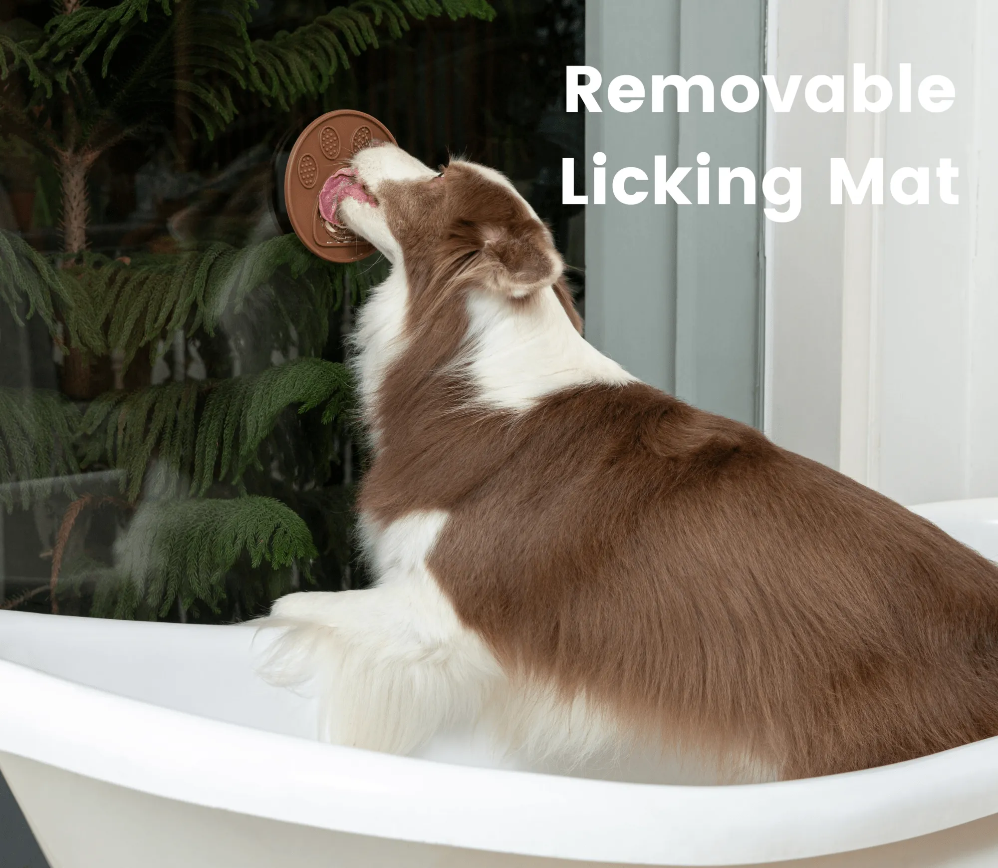Injoya Lick Mat-Brown for Dogs