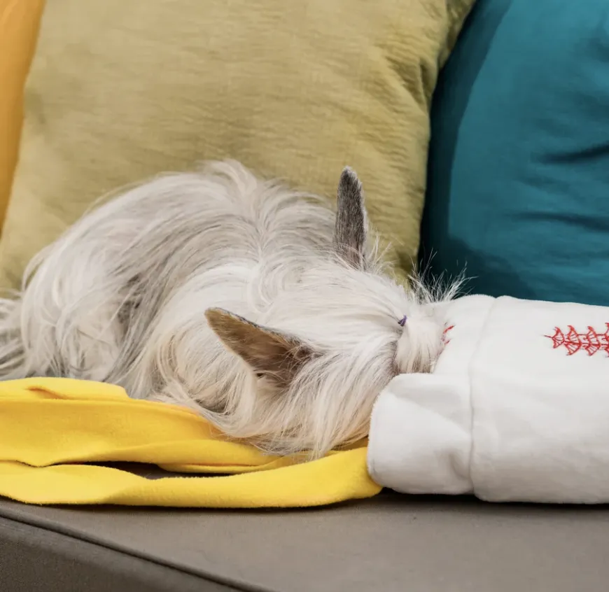 Injoya Take-Out Snuffle Toy