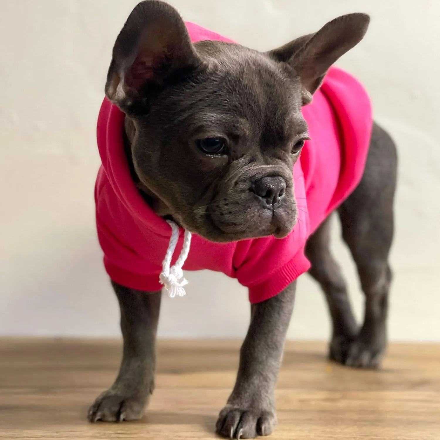 It's My Birthday & I'll Bark If I Want to Dog Hoodie Fleece Lined Pullover Sweatshirt with Leash Hole (Black, Medium 1078)