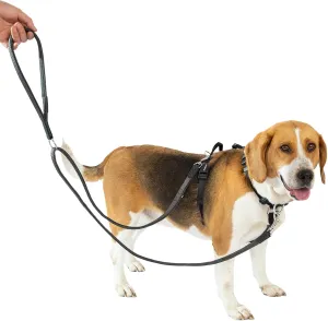 No Pull Dog Harness with Two Points Control Leash Set, Neck Buckle, Aluminum D-Rings, 6 Points Adjustment, Easy Walking and Training, Leash with 2 Clips (Harness-Leash Set, L)