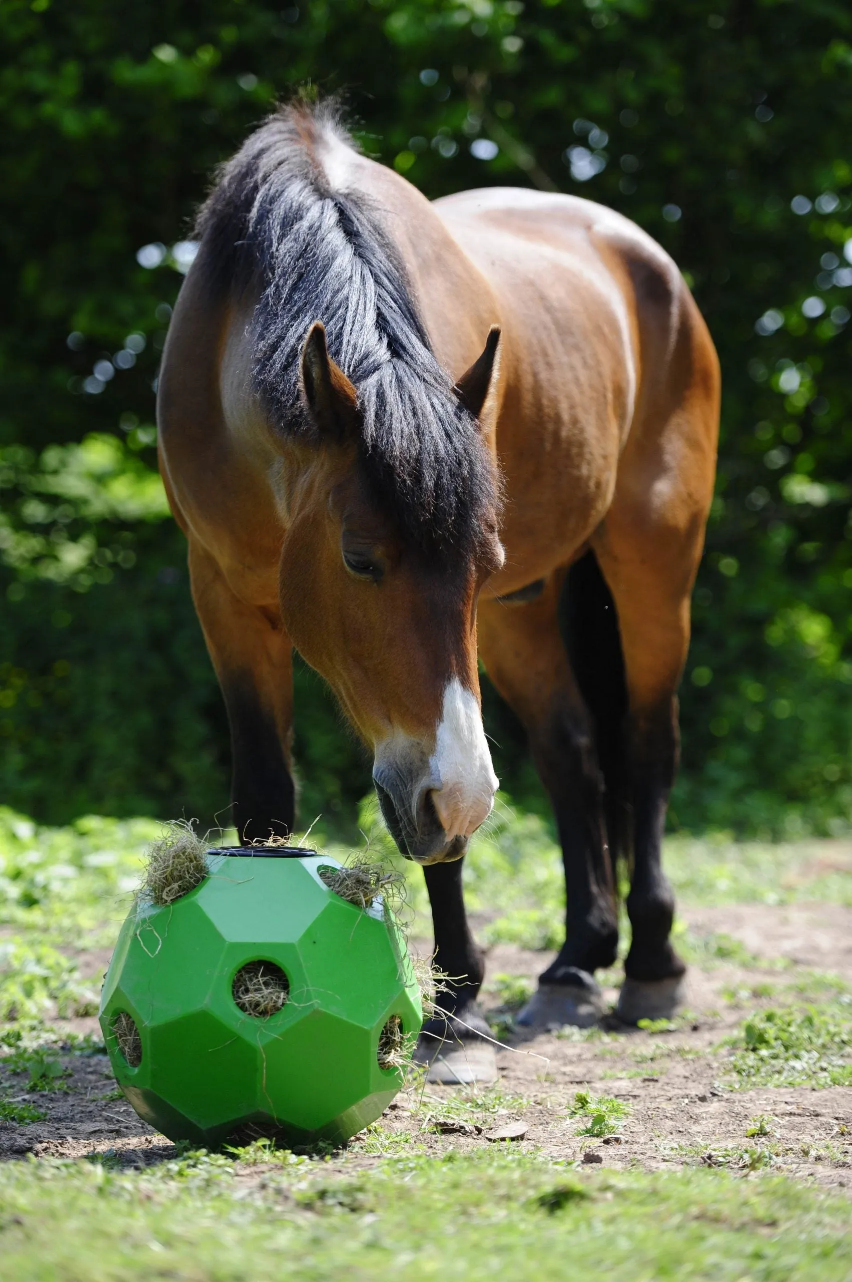 Parallax Hay Play Ball