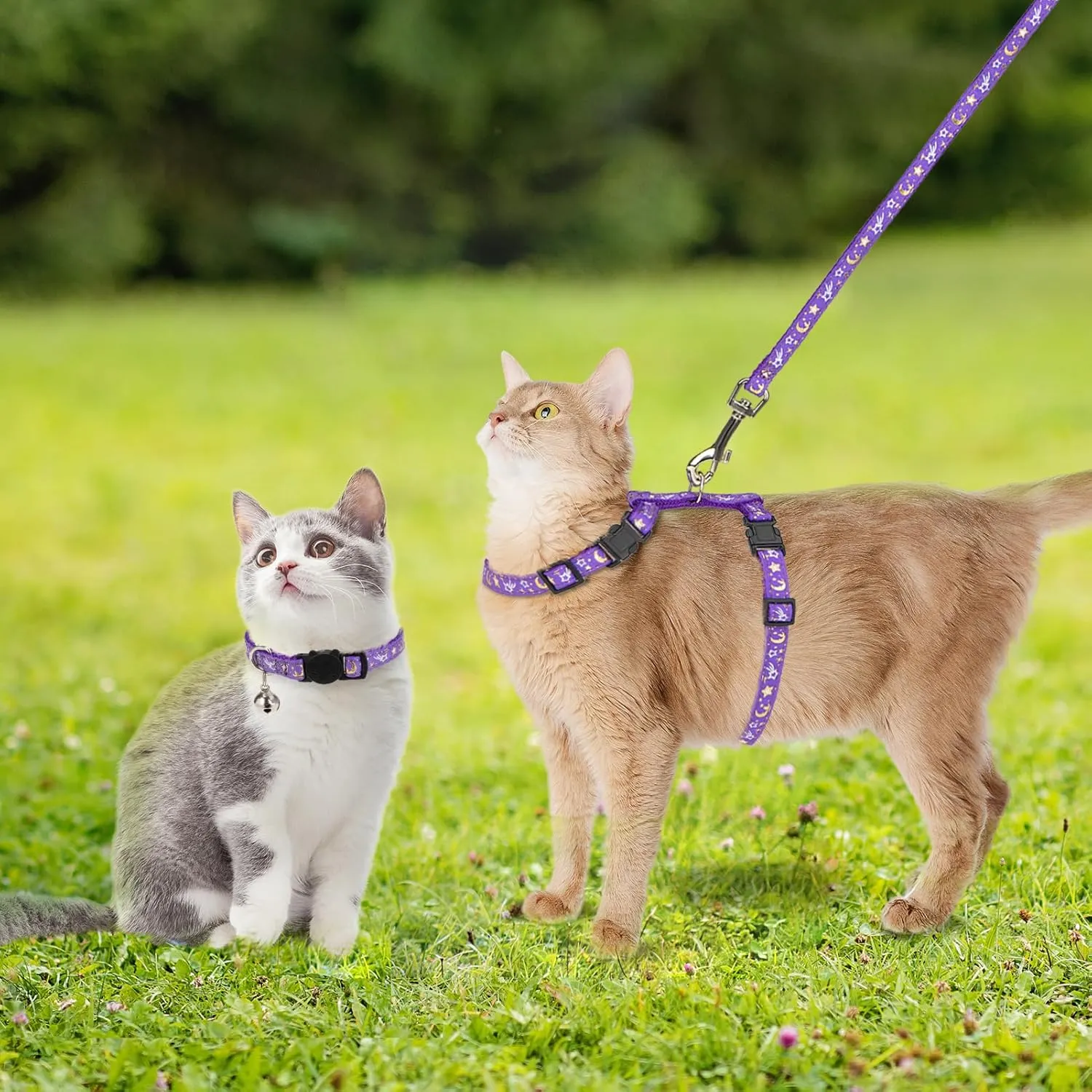 PAWCHIE Cat Harness with Leash and Collar Set - Escape Proof Adjustable H-shped Cat Harness with Star and Moon Pattern Glow in The Dark for Kitty Outdoor Walking