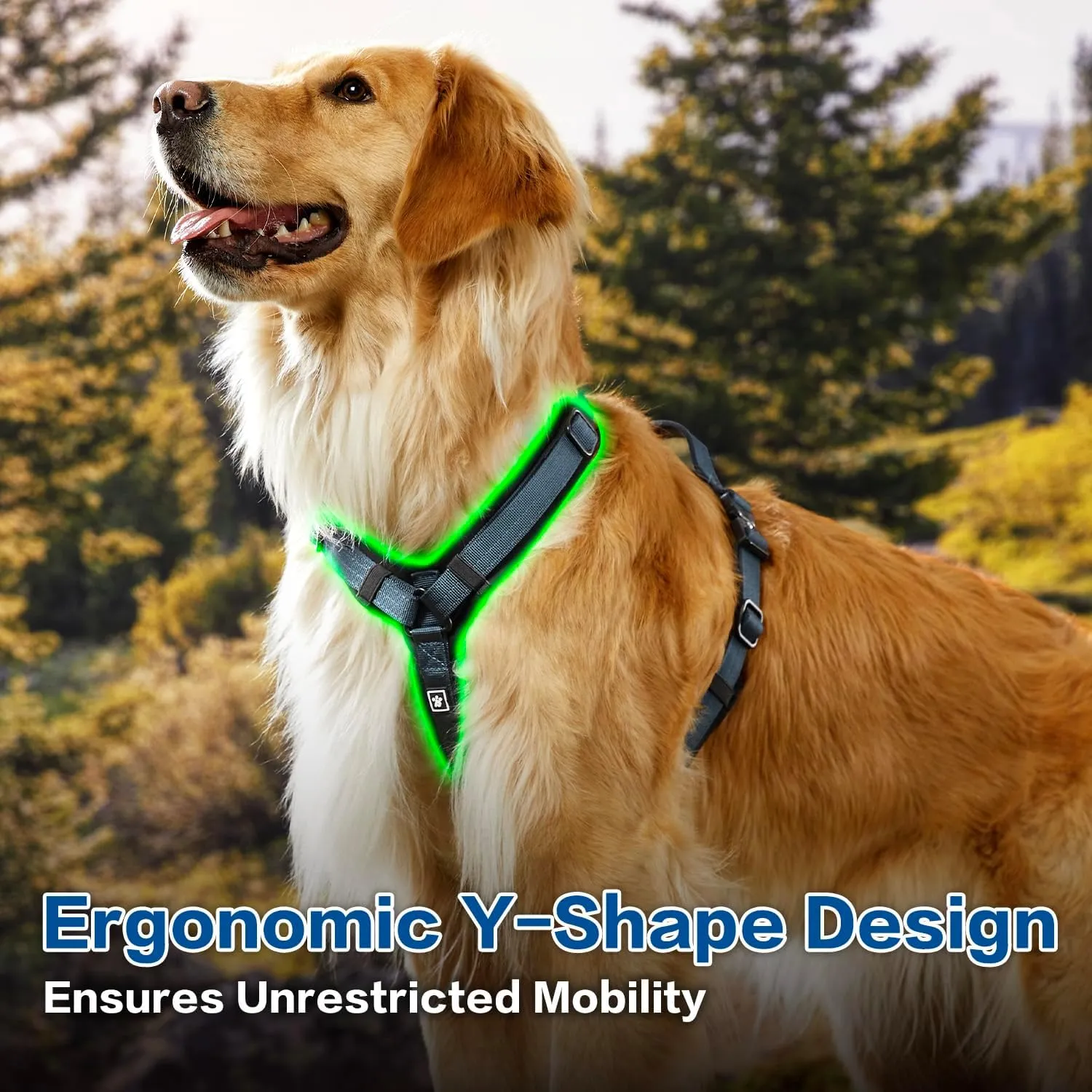 PawsPassion Dog Harness for Large Dogs, Chew-Proof Metal Hardware, Easy Walk Dog Harness, Ergonomic Y-Shaped Design, Soft Padding, Padded Handle, Durable High-Tensile Nylon (Nightfall, L)