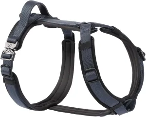 PawsPassion Dog Harness for Large Dogs, Chew-Proof Metal Hardware, Easy Walk Dog Harness, Ergonomic Y-Shaped Design, Soft Padding, Padded Handle, Durable High-Tensile Nylon (Nightfall, L)