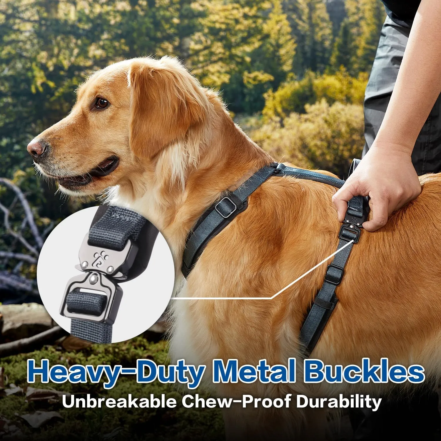 PawsPassion Dog Harness for Large Dogs, Chew-Proof Metal Hardware, Easy Walk Dog Harness, Ergonomic Y-Shaped Design, Soft Padding, Padded Handle, Durable High-Tensile Nylon (Nightfall, L)