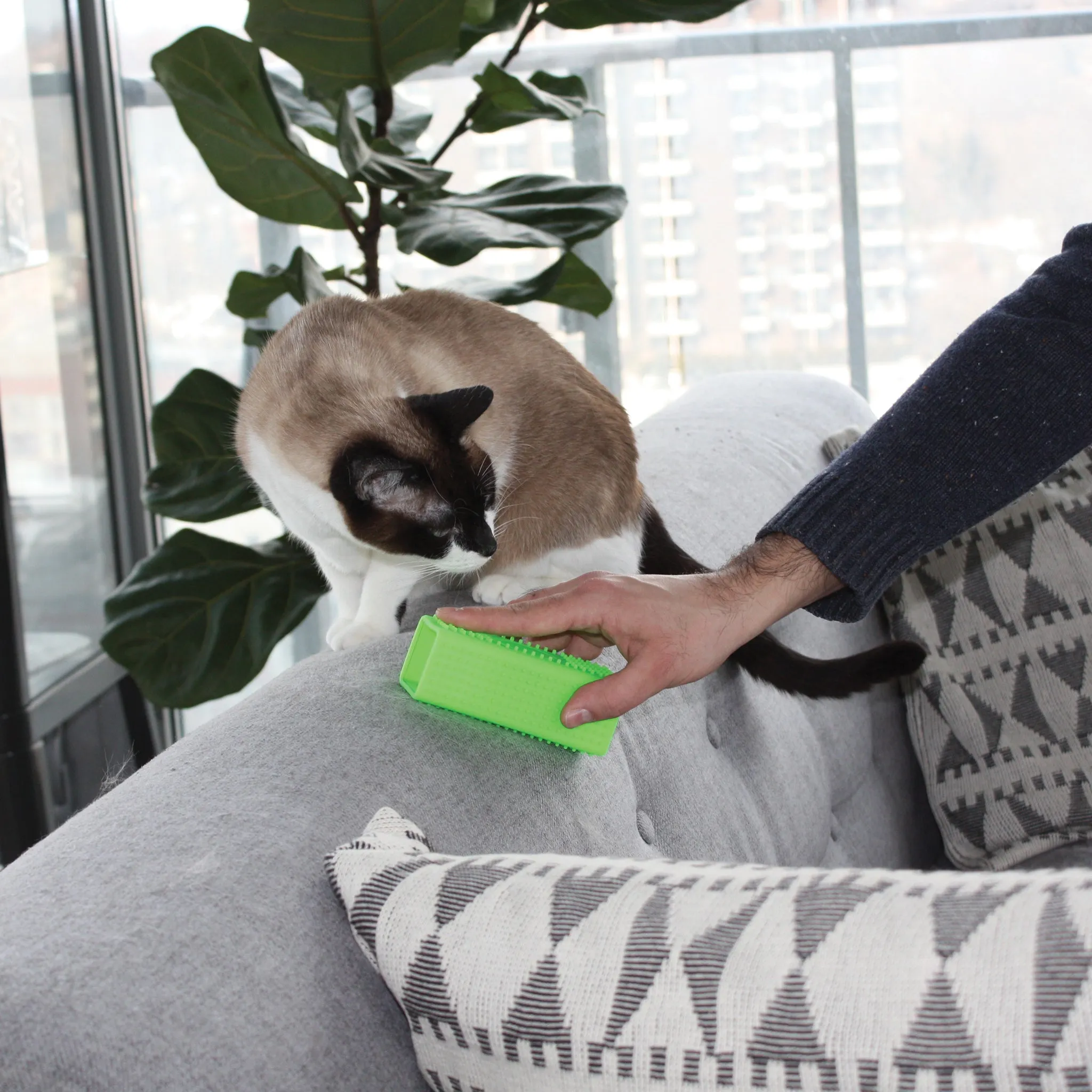 Pet Hair Remover
