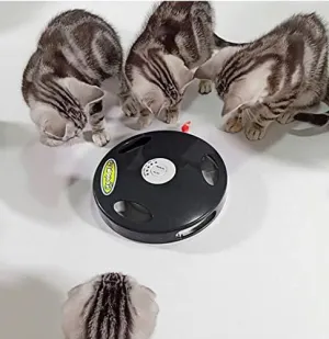 PetDroid 2019 Interactive Robotic Cat Toy,Hanging Electric Concealed Motion Cat Mouse Tail Toy,2nd Generation (Black)