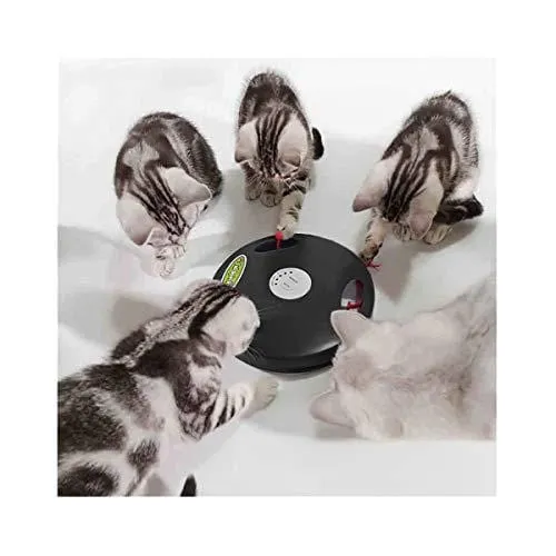 PetDroid 2019 Interactive Robotic Cat Toy,Hanging Electric Concealed Motion Cat Mouse Tail Toy,2nd Generation (Black)
