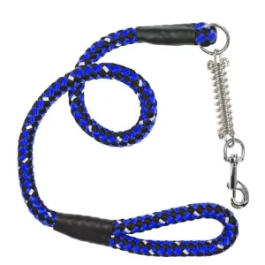Petique, Reflective Dog Leash with Shock Absorber, Dragonfly