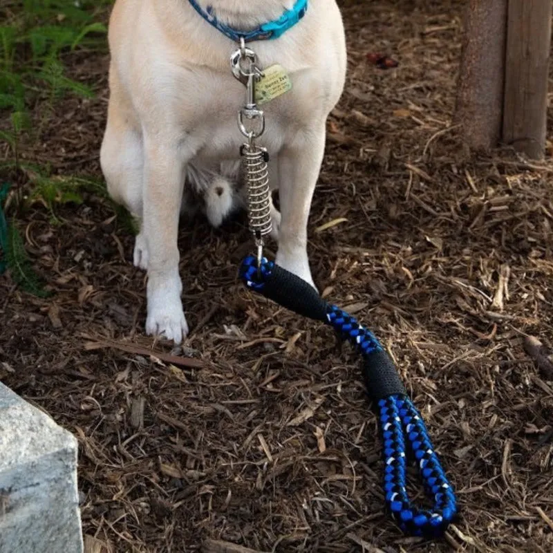 Petique, Reflective Dog Leash with Shock Absorber, Dragonfly