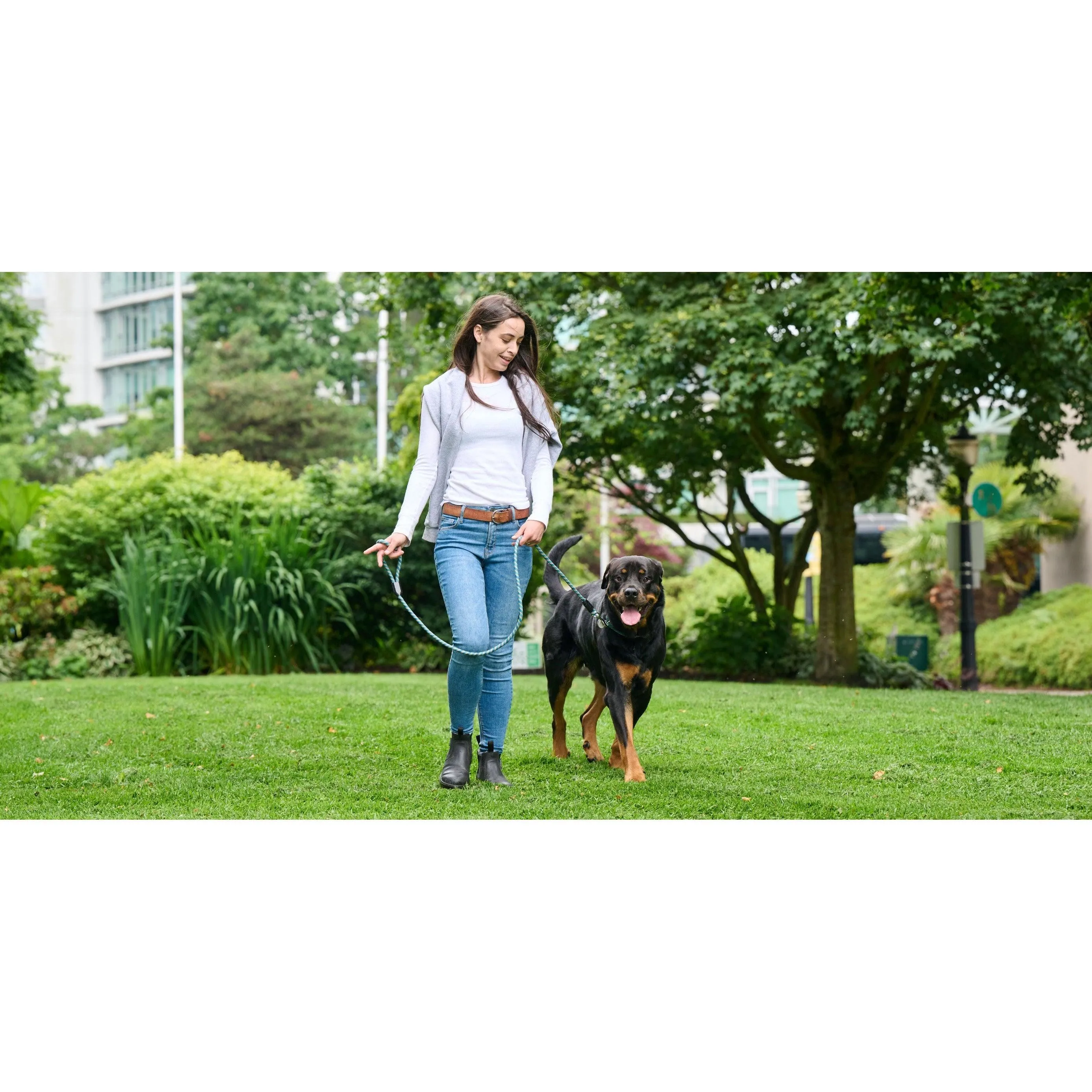 RC Dog Rope Leash Dark Olive