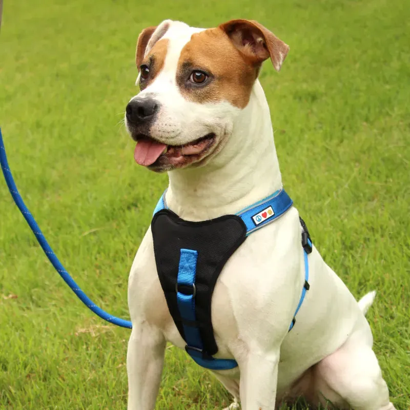 Reflective Rope Leash  6-FT