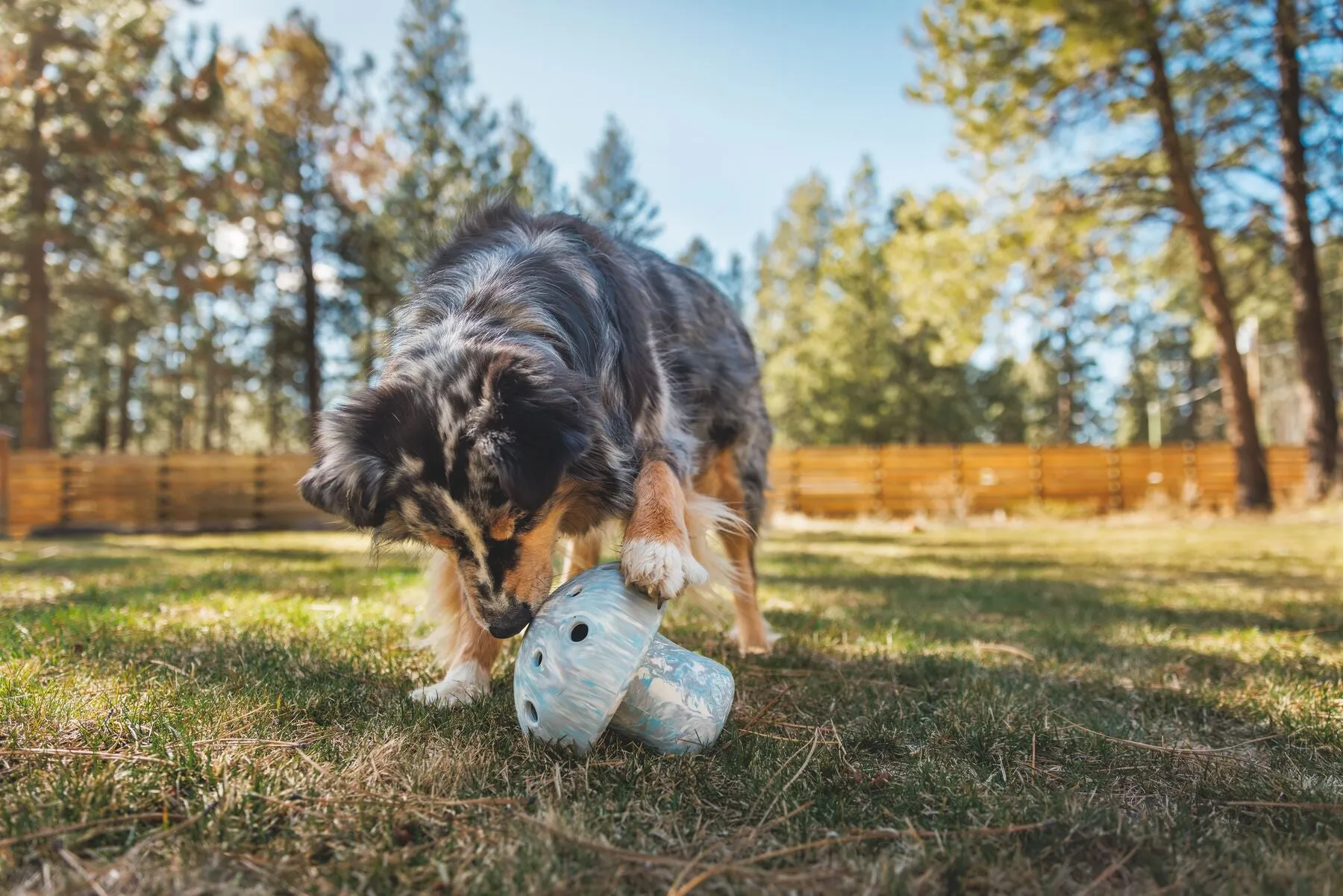 Ruffwear Porcini™ Dog Toy