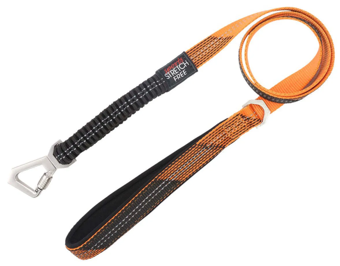 Shock Absorbing Dog Leash and Collar Set