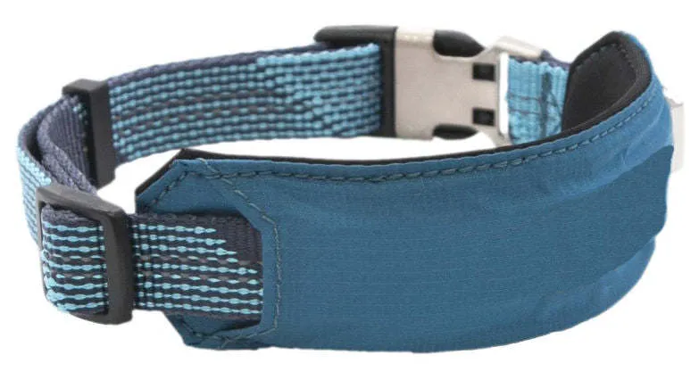 Shock Absorbing Dog Leash and Collar Set