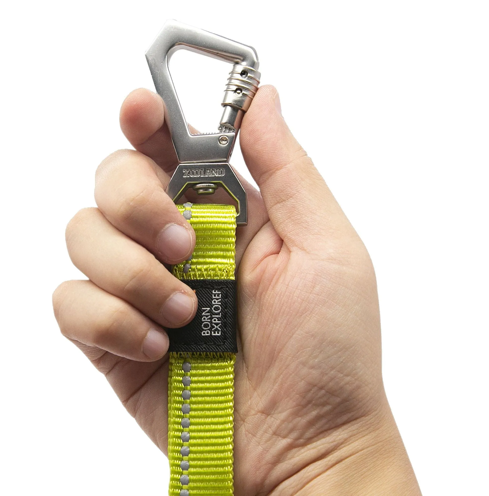 Shock Absorbing Dog Leash and Collar Set