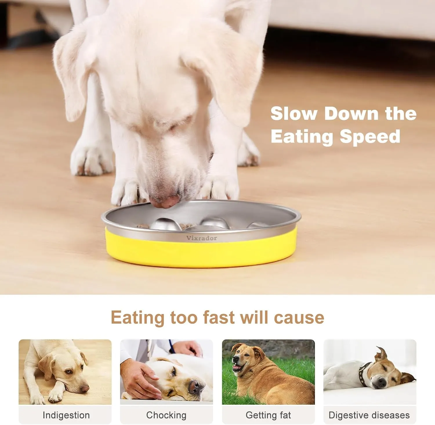 Slow Feeder Dog Bowls Stainless Steel,2 Cups Yellow Non-Slip for Small & Medium Sized Dogs,Slow Down Eating Dog Bowl for Fast Eaters