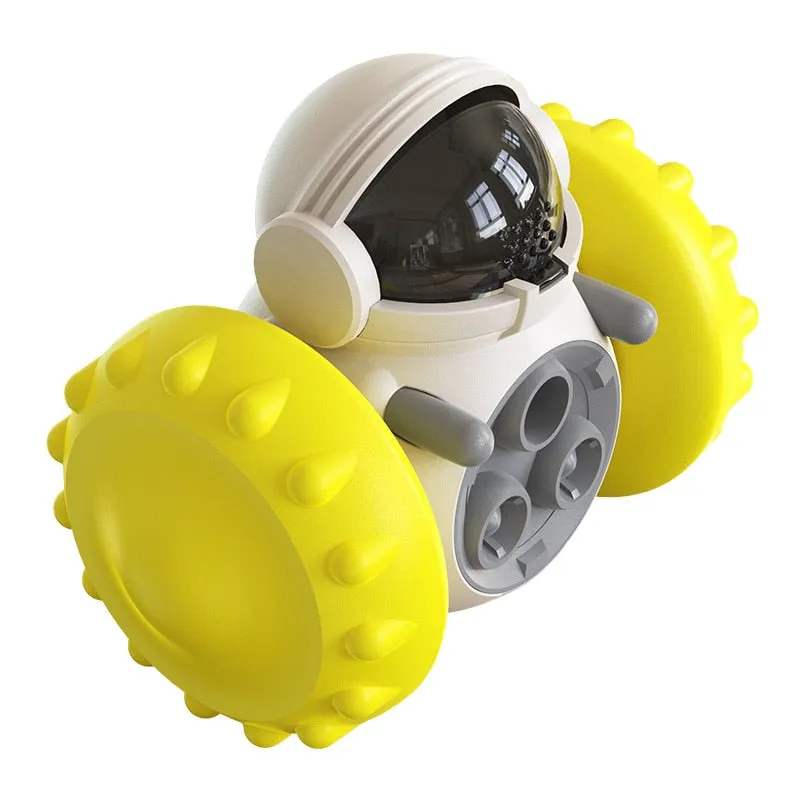 Slow Pet Feeder & Toy