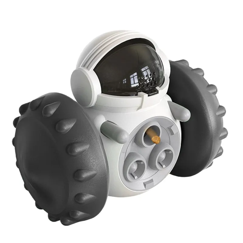 Slow Pet Feeder & Toy