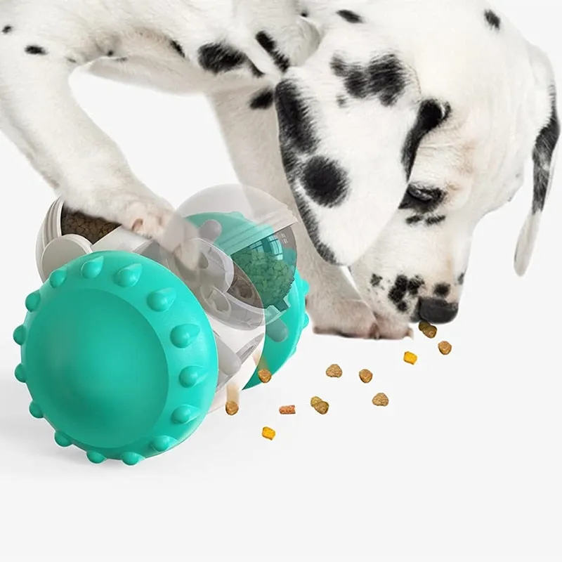 Slow Pet Feeder & Toy