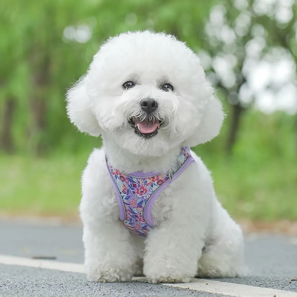 Step in Dog Harness and Leash Set, Flower Adjustable Easy Walk Puppy Harnesses, Soft Mesh Pet Vest Harness Small Size Dog Adjustable No Pull Dog Harness for Small Medium Dogs(Light Purple, S)