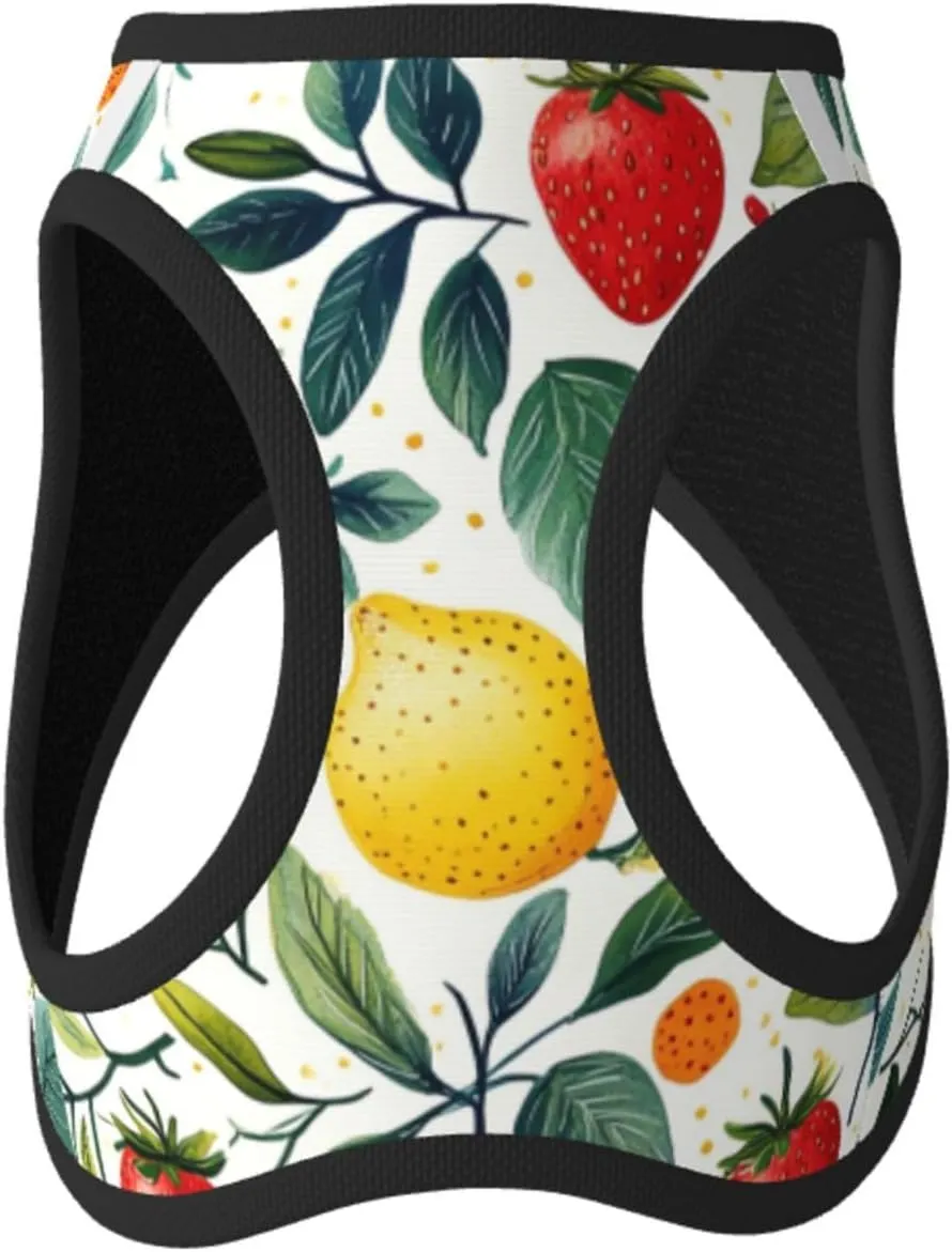 Strawberries Lemons No Pull Dog Harness and Leash Set, Reflective Vest for Small Dogs, Adjustable Breathable Cute Funny Mesh Puppy Harness for Walking Hiking,Small