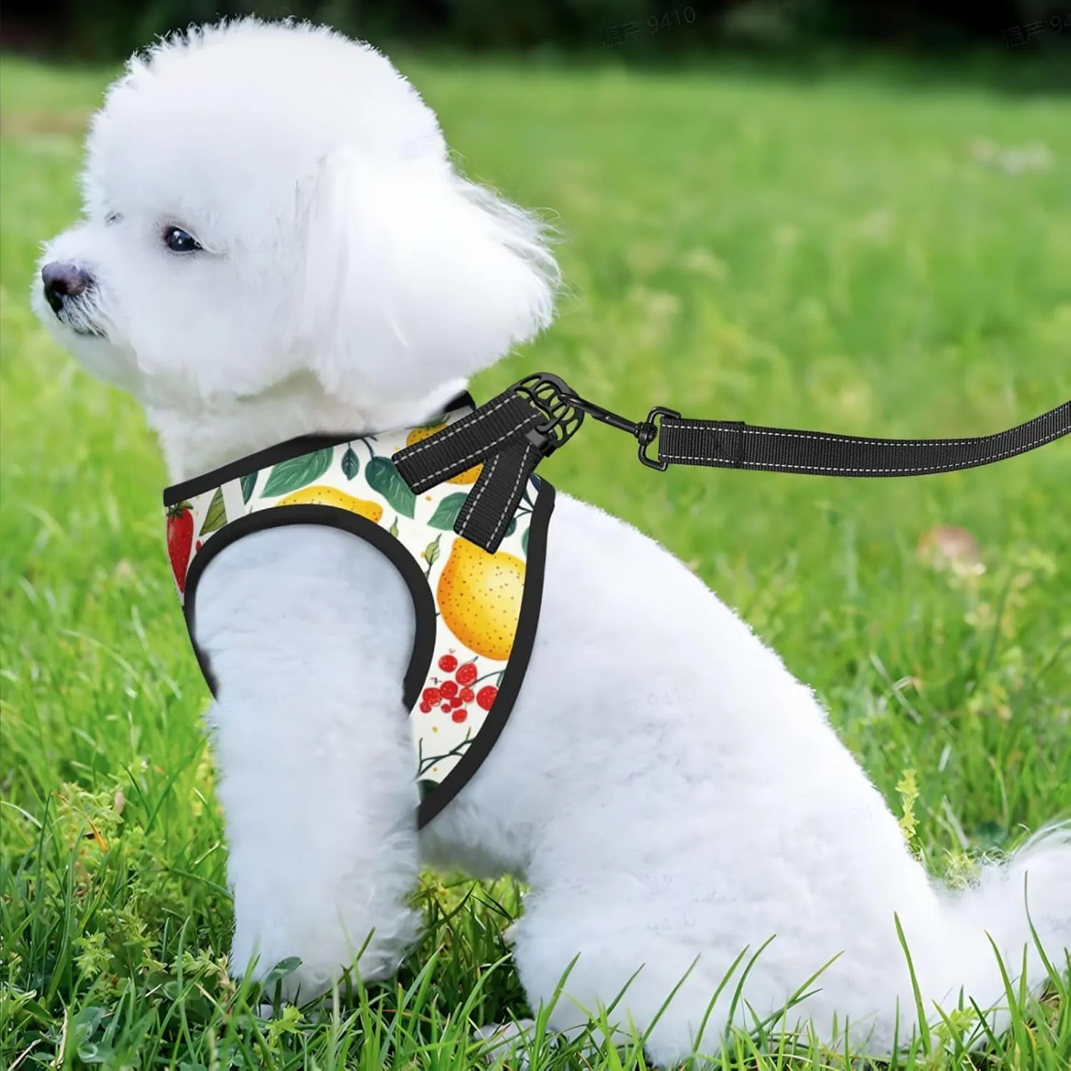 Strawberries Lemons No Pull Dog Harness and Leash Set, Reflective Vest for Small Dogs, Adjustable Breathable Cute Funny Mesh Puppy Harness for Walking Hiking,Small