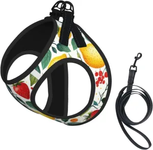 Strawberries Lemons No Pull Dog Harness and Leash Set, Reflective Vest for Small Dogs, Adjustable Breathable Cute Funny Mesh Puppy Harness for Walking Hiking,Small