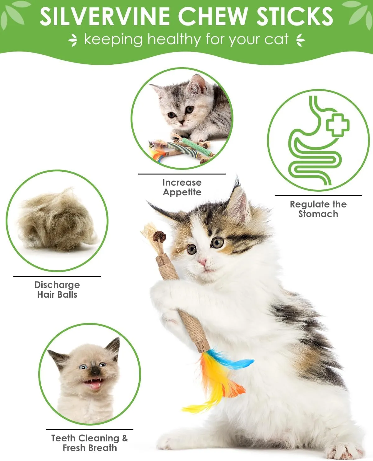 TINDTOP Catnip Chew Toys for Cats, 4 Pack Natural Silvervine Sticks for Kittens Teeth Cleaning, Matatabi Dental Care, Increase Appetite, Aggressive Chewers Cat Dental Toy