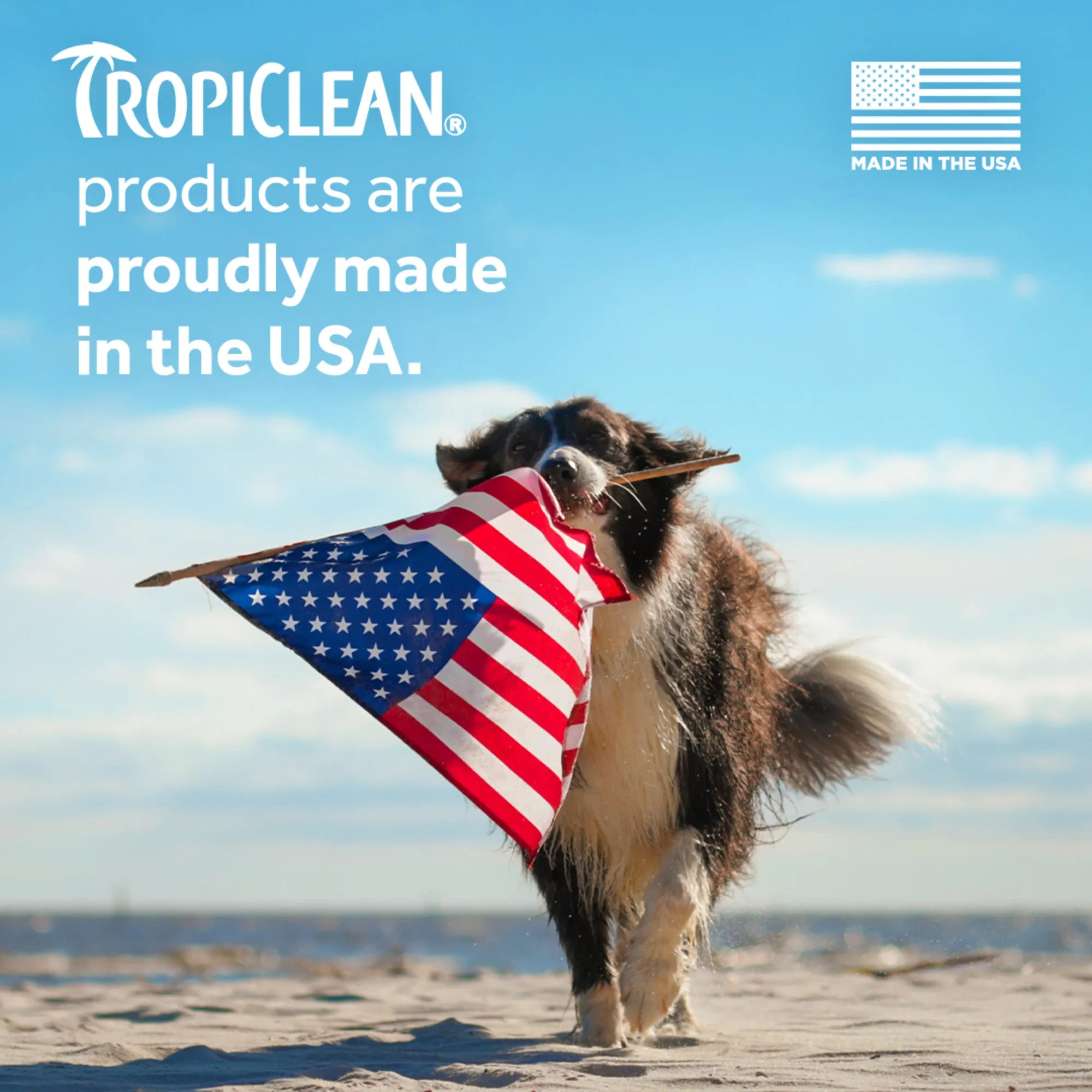 Tropiclean Deodorizing Pet Spray Kiwi Blossom 8 oz