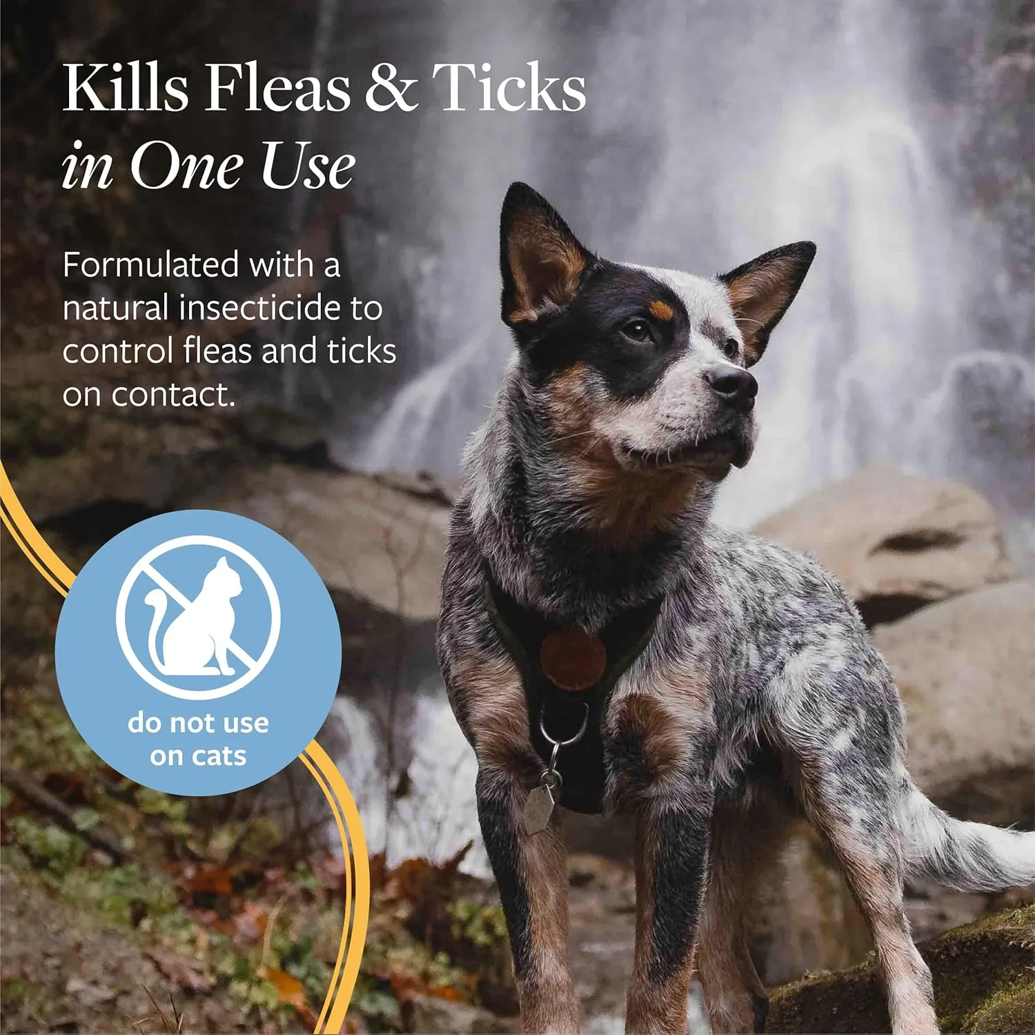 Veterinary Formula Flea and Tick Spray for Dogs, 8 oz  Easy-to-Use Dog Flea Spray, Kills on Contact, Prevents Egg & Larval Development for 14 weeks