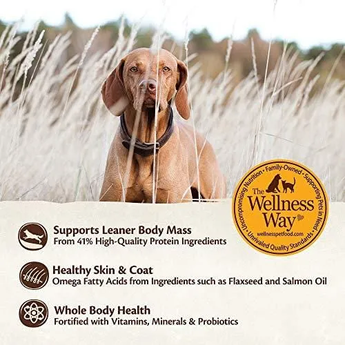 Wellness Core Natural Grain Free Dry Dog Food, Original Turkey & Chicken, 26-Pound Bag