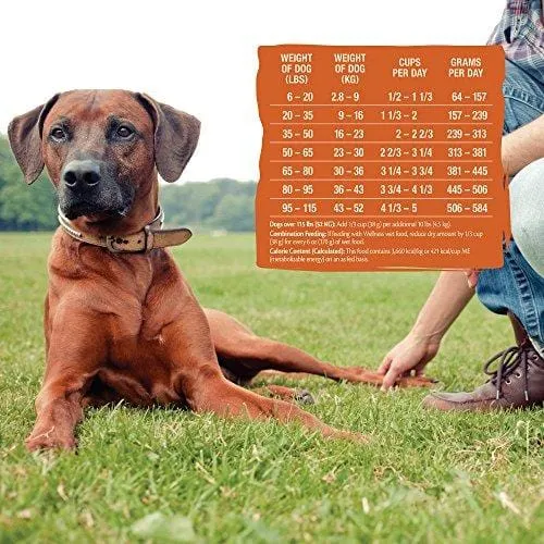 Wellness Core Natural Grain Free Dry Dog Food, Original Turkey & Chicken, 26-Pound Bag